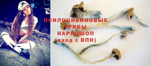a pvp Магадан